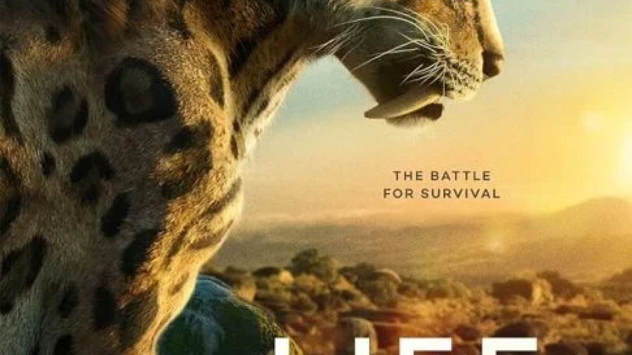 Life on Our Planet الموسم الاول الحلقة 8