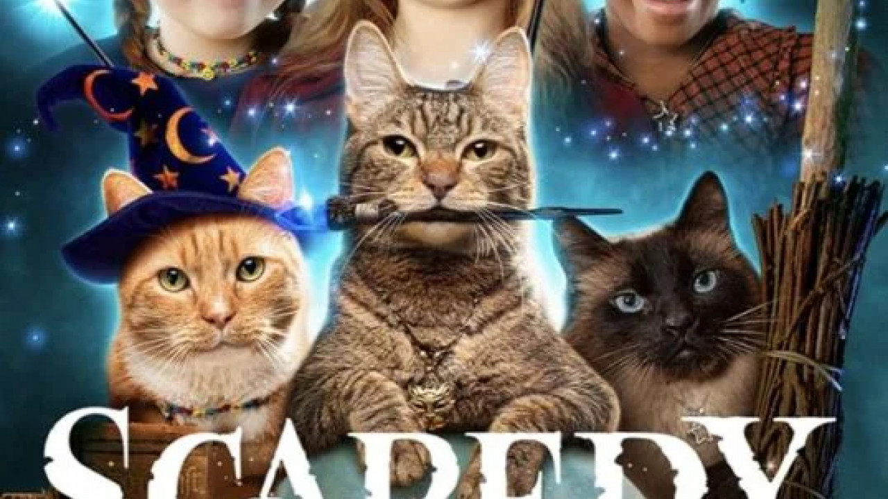 Scaredy Cats الحلقة 4