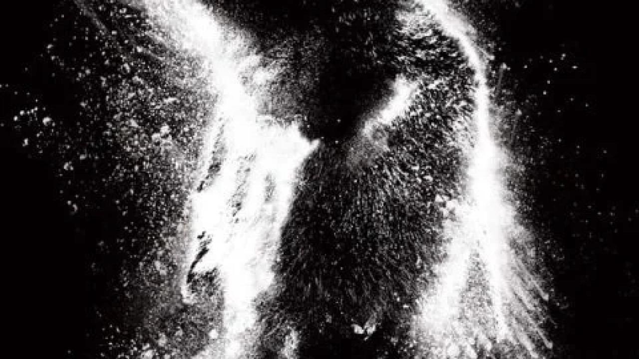 Cocaine Bear ( 2023 )